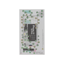 DOTTORPOD X iScrews para iPhone 12/12 Pro