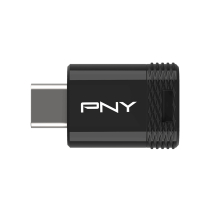 PNY Pen USB-C 3.2 Elite-X 256 GB