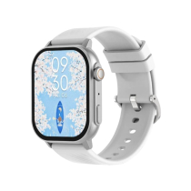 DEVIA Smart Watch Pro2 (prateado)