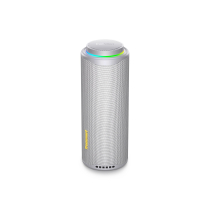 TRONSMART T8 O3020 Coluna Bluetooth (cinzenta)
